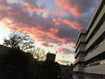 一覧横長2448