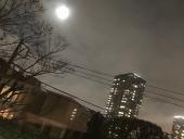 横長720