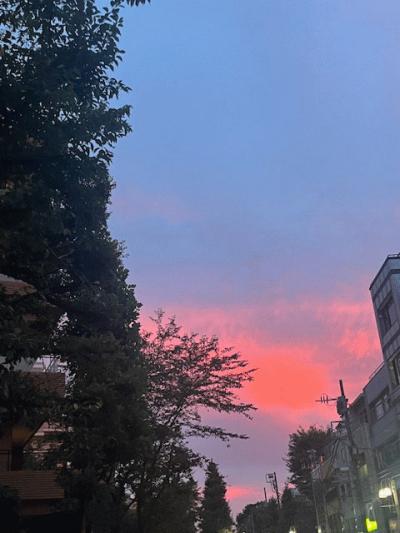 個別縦長640