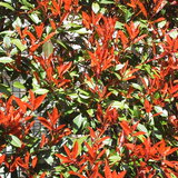 20120408140121.jpg